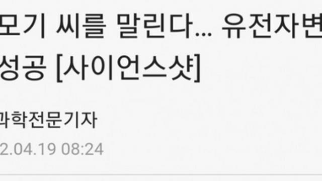 모기 씨를 말리겠다!?
