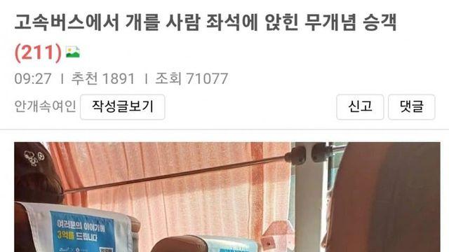 고속버스에서 개를 사람 좌석에 앉힌 무개념 승객