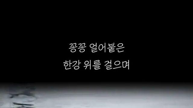 꽁꽁 얼어 붙은 한강위 고양이 근황