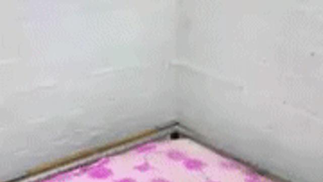모기 물림 방지 침대