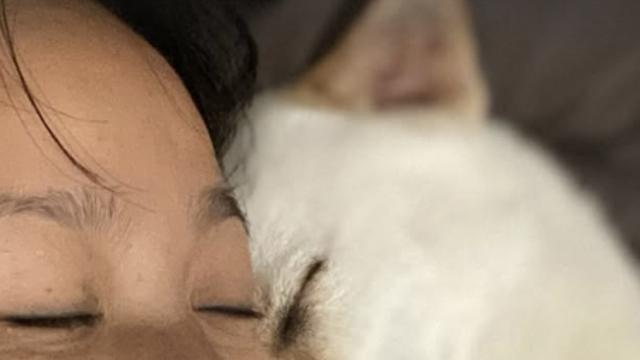 이효리, 반려견과 따뜻한 순간…“박미달 사랑한다❤️” [AI 포토컷]