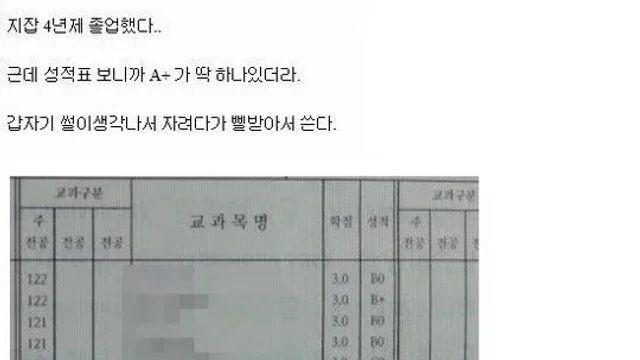 원피스로 A+ 학점을 받은 대딩