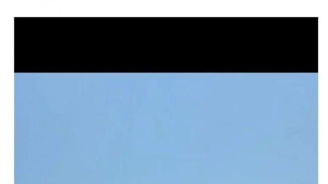 구룡포 오징어 맨손잡기 체험행사가 취소된 이유
