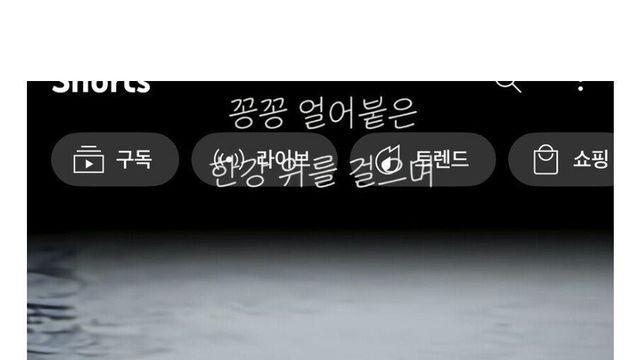 꽁꽁 얼어붙은 한강위를 걷던 고양이 근황