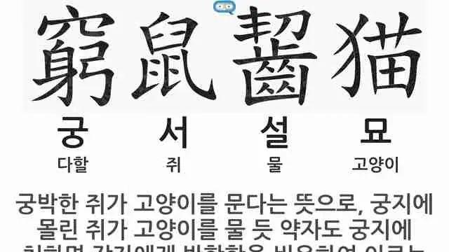 의외로 사실이었던 사자성어.mp4,,