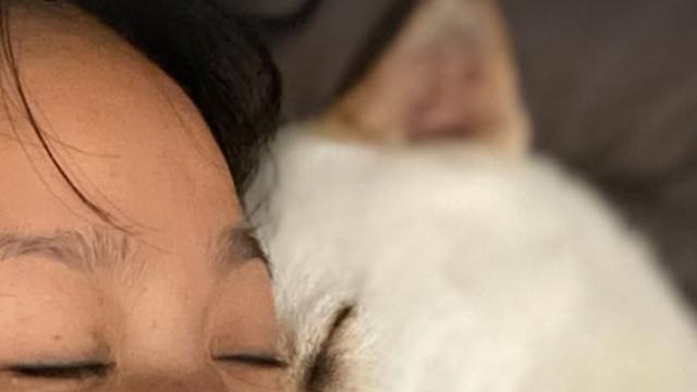 이효리, 미달이와 팔베개 셀카 “사랑이 뚝뚝”