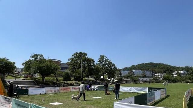 수원시, 매너견 인증제로 '매너견' 배출