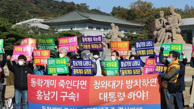 [이코노워치] 우리가 몰랐던 개미의 힘, 소비자의 파워