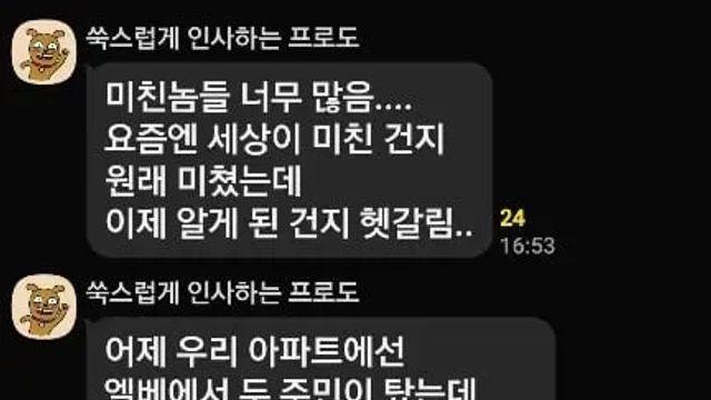 엘베에서 진짜 미친놈을 목격함,,