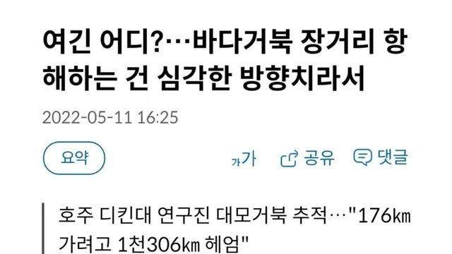 바다거북이 오래 살아야하는 이유