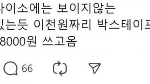 다이소의 보이지 않는 깡패,,