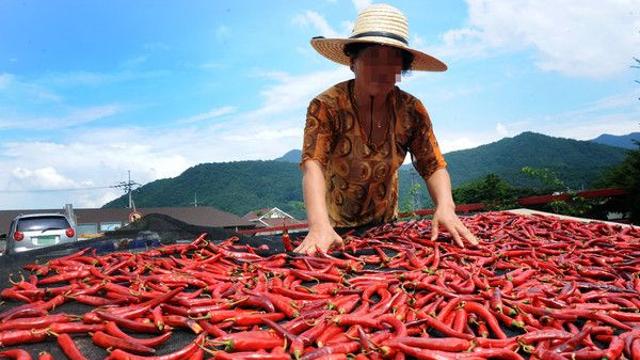 날씨 “입추에 비오면” 남부지방 120mm 비소식, 서울32도·부산33도 폭염