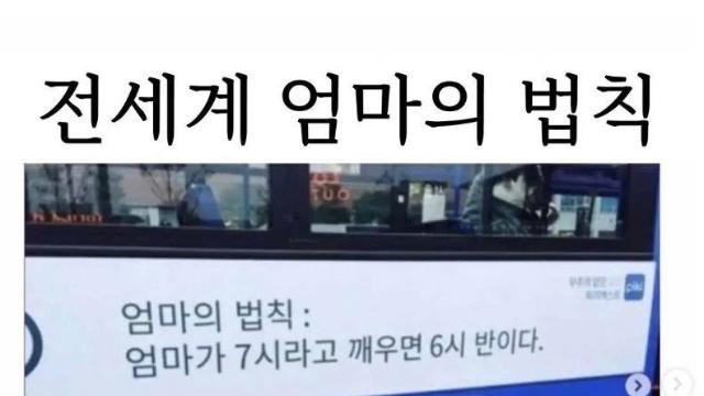 전세계 엄마의 법칙