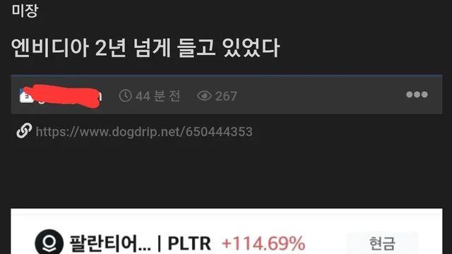 2년 넘게 엔비디아 주식 보유중인 유저