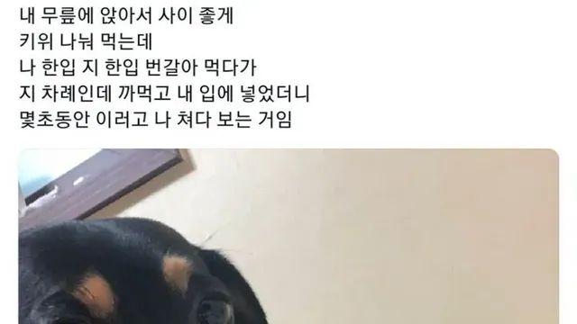 “와 되게 섭섭하다 주인아”,,