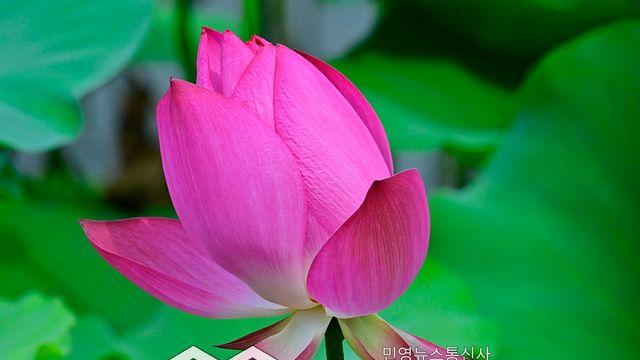 '2025 입추' 더위 사라질까? 한자 뜻과 인사말 20가지 알아보기