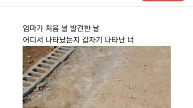 부모님 텃밭에서 시작된 인연