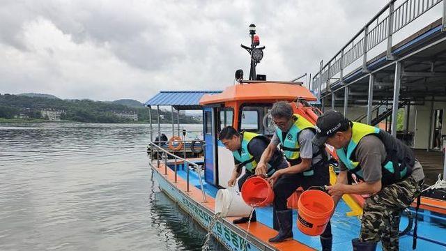 양평군, 수산자원 조성을 위해 쏘가리 치어 3만여 마리 방류