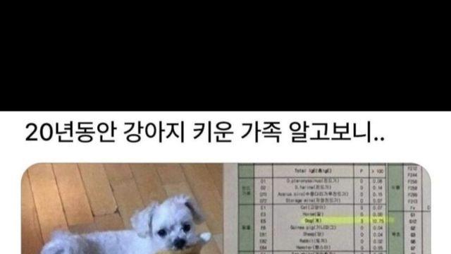 20년동안 강아지 키운 가족의 뜻밖의 발견