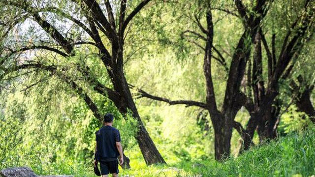 지구, 관측 이래 세 번째로 더운 7월 경험…기후 변화 영향 여전
