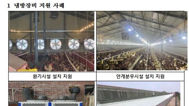 농림축산식품부, 축산 폭염대응 직접 챙긴다! 전국 현장점검 실시 중