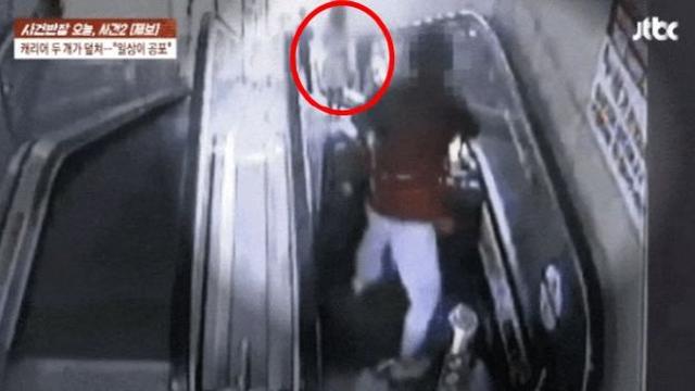 굴러떨어진 캐리어 2개에 ‘쿵’…“전치 8주, 1년 다 망가져”