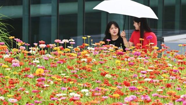 낮 최고 33도 더위…제주와 남해안에 높은 너울[오늘날씨]