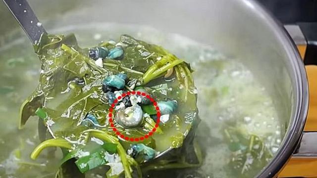 여름철 땀 줄줄 흘린 날엔 된장국에 '이 재료' 넣는 게 최고입니다