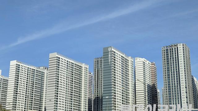 [이슈PICK+] 전세사기 피해자, 누적 3만2000명 돌파···‘지능화된 수법’에 무너지는 시민들