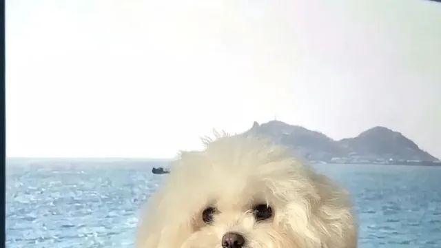 사진 주작질 현장 공개,,