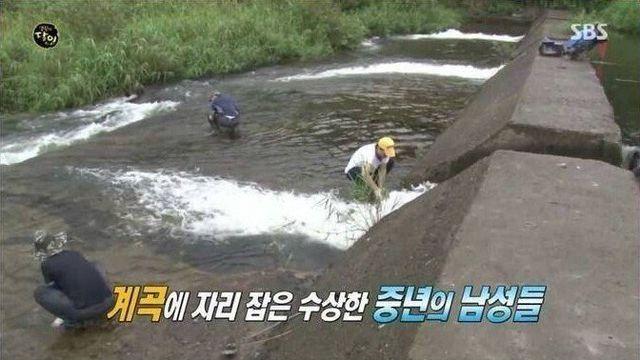 자연산 장어의 위엄