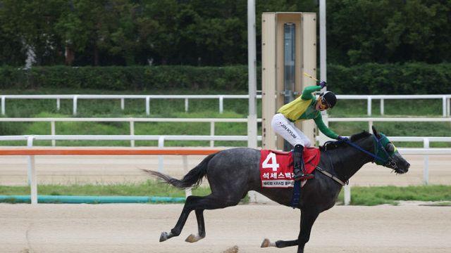 한국마사회, 최강 글로벌히트 꺾고 ‘석세스백파’ KRA컵 클래식(G2) 우승