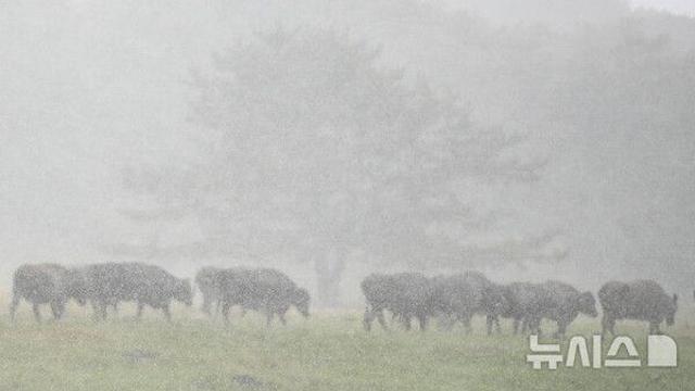 가끔 구름 많다 점차 흐려져…제주는 종일 '흐림'[오늘날씨]