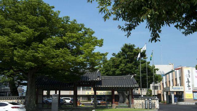 정부, 극한호우 피해 홍성군 특별재난지역 선포