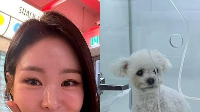 미자, 반려견 수술 받았다… “이물질 삼켜 장폐색”