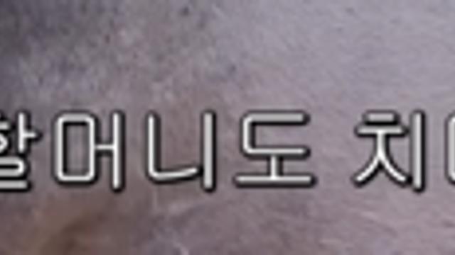 국내엔 단 한마리있는 세계에서 가장 작은 말을 키우는 모델