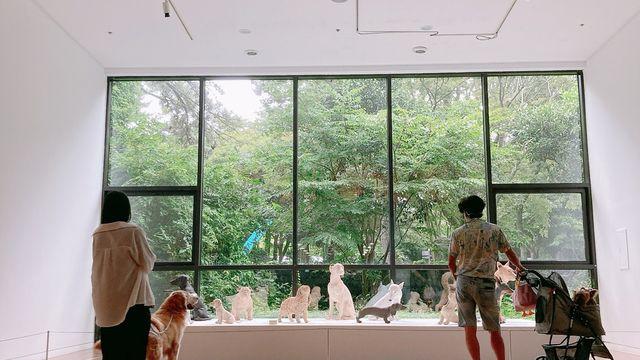 “강아지와 함께 전시 관람” 제주현대미술관 프로그램 호응