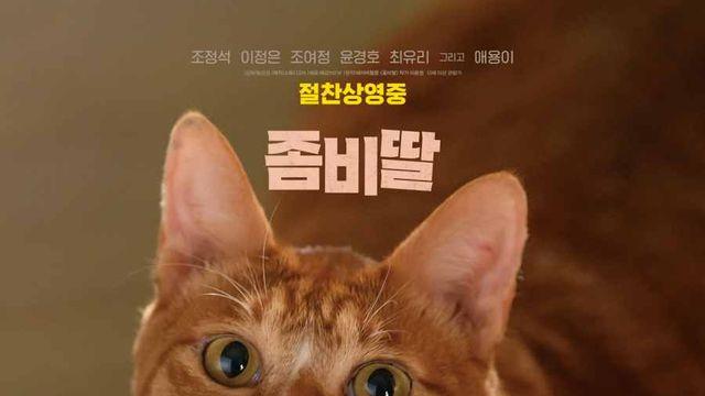 세계 고양이의 날 기념 '좀비딸' 애용이 스페셜 포스터 2종 공개!