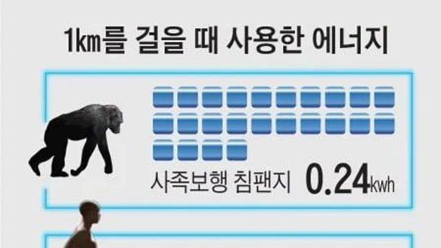 걷기로 살 빼기 힘든 이유