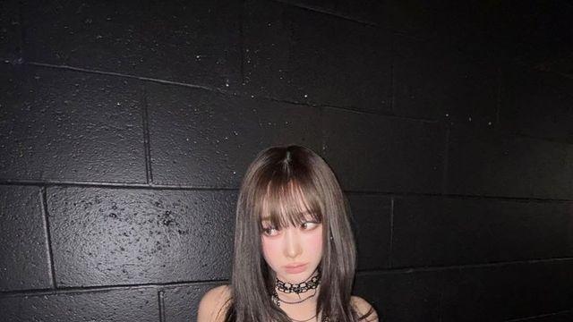지젤, 리정, 이주미…개를 보면 주인이 보인다, 새롭게 등장한 셀럽견 3