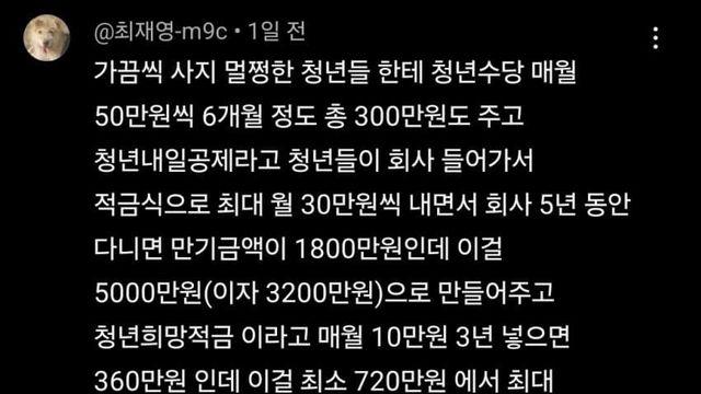나라에 환멸느낀다는 영포티