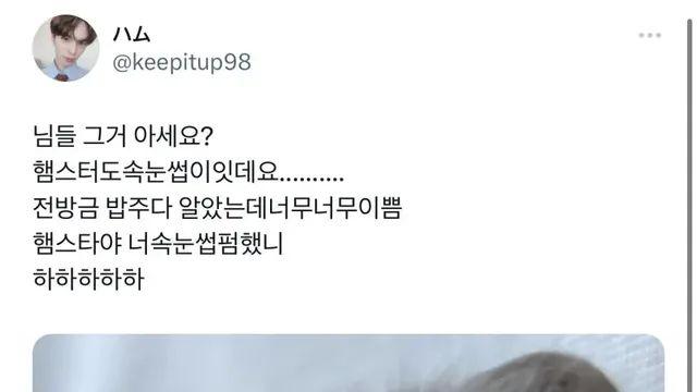 햄스터 눈썹,,