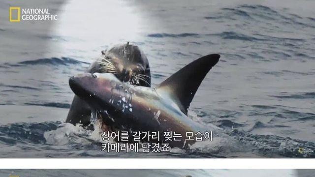 의외의외 의외로 ㅈ밥인 것