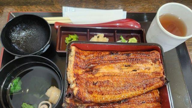 이번 도쿄여행 후기