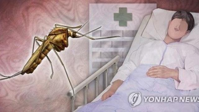 대전서 올해 첫 '일본뇌염 매개 모기' 발견