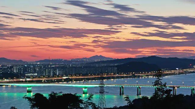 레오포토 MT-04 사길 넘 잘한거 같아