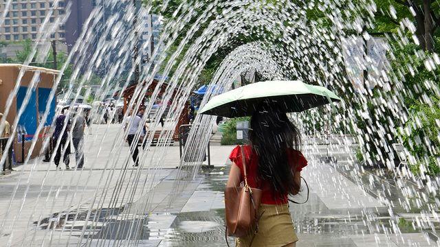 [다음주 날씨] 중부지방·제주 최고 60㎜ 이상 비…서울 낮 최고 33도·부산 32도