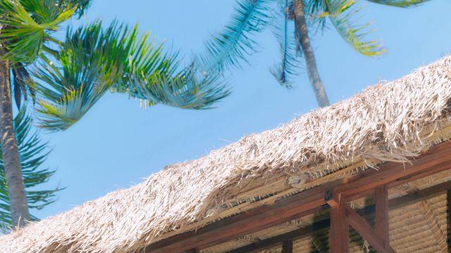 NCT WISH, 서머송 ‘Surf’로 여름 장악…뮤비 티저 화제