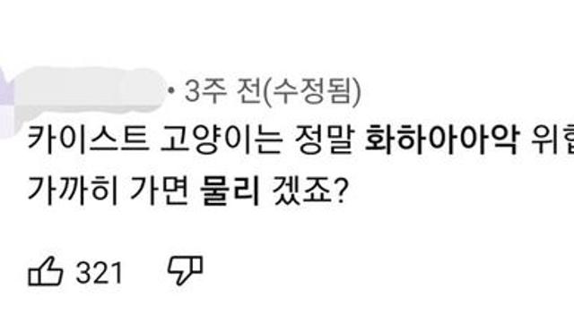 카이스트 고양이가 위험한 이유