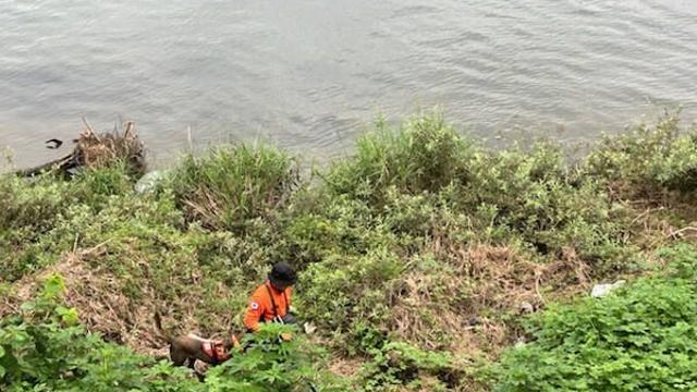 [속보] 가평 집중호우 수색 현장서 시신 1구 발견